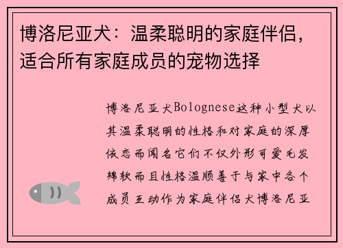 博洛尼亚犬：温柔聪明的家庭伴侣，适合所有家庭成员的宠物选择